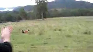 Josh Dam Surfing!