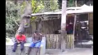 mavis bank - jamaica