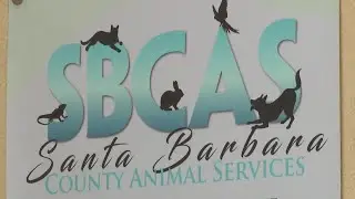 Santa Barbara County offering free protective services to pet owners for 4th of July holiday