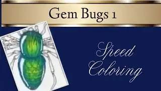 Gem Bugs 1 in Colored Pencil | Speed Video