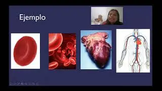 Ciencias Naturales y Tecnología