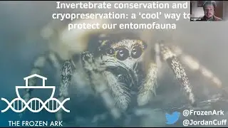 Invertebrate conservation and cryopreservation: a 'cool' way to protect our entomofauna