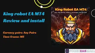 King Robot EA MT4 NoDLL - Review and how to set up