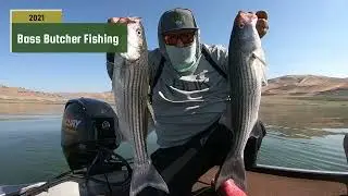 2021 Bass Butcher Fishing #Shorts