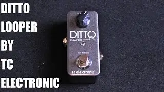 DITTO LOOPER  REVIEW BY AXEGRINDERUK