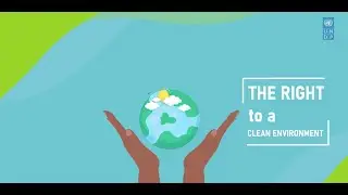 Business and Human Rights and India&rsquo;s Environment Law Frameworks