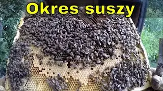 Rozwój rodzin w okresie bezpożytkowym.