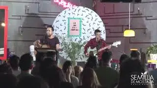 Semilla de Mostaza Santa Monica; Tu Eres Real