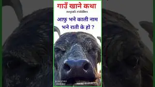 Gau khane katha funny | Riddles nepali | गाउँ खाने कथा प्रश्न उत्तर | #shortvideo #short