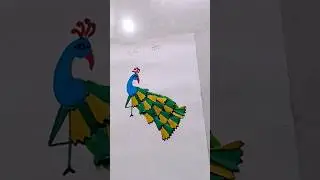 Pencil Shaving Peacock - Fun Craft Project | Pencil Shaving Art