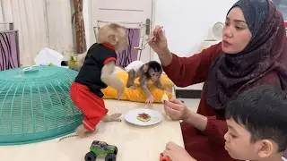 Alpha was surprised when he ate warm milk bread because he couldn't wait for mom to feed him