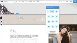 How to Add Animation to your Wix Website