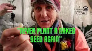 Never Plant Naked Seeds Again- ReGenerative Gardening with Patti