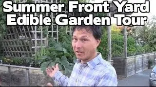 Front Yard Summer Edible Fruit & Vegetable Organic Garden Tour