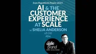 #391: AI and the Customer Experience at Scale, with Shelia Anderson, US CIO at Aflac