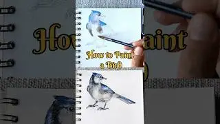 watch the full video 📹⬆️ #howtopaintabird #watercolorbird #birdpainting #sketchbookpaintings