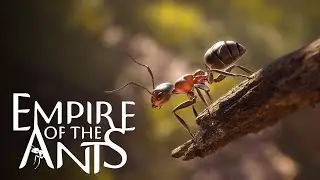 Empire of the Ants / RX 580 2048SP / Xeon E5-2640 v3 / FPS TEST