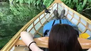 (sof 카누캠핑) skin on frame canoe trip] 스킨온프레임 카누 트립_canoeing & canoe campimg & trip