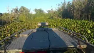 Gator Tail GTR 35 Swamp Ride