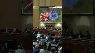 Largo в парламенте и его маленькая лягушка #dotaok #largo #jokes #дотаок #прикол #frog