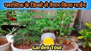 My Home Garden Tour In The Land Of Rajasthan | Money Plants In Garden | Organic Farming And Planting