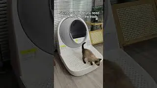 Cat link litter box #cat #catlife #catlover #catlovers #catproduct #kitten #petproduct