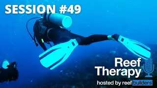 Hobbies That Complement Reefing | #49