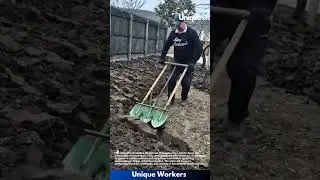 Gardening for beginners: a simple guide to soil digging
