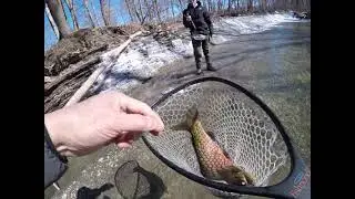 Trey's Steelhead Hat Trick   Erie, PA   March 2021