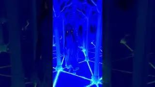 #mirrormaze #coorgtrip