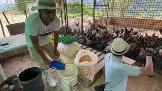 Conociendo su emprendimiento de un guerrerito