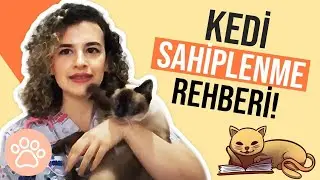 Kedi Sahiplenmeden Önce Bilinmesi Gerekenler
