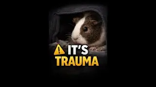 Guinea Pig Rescue parents&mdash;did this sound familiar?
