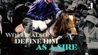 The most INCREDIBLE racehorse EVER... Galileo