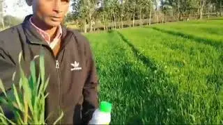 Best results of star agriculture product.  8509327059