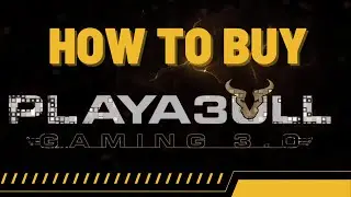 HOW TO BUY A PLAYA3BULL NODE