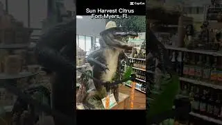 Sun Harvest Citrus- Fort Myers, Florida.  Fresh Florida citrus, gift shop & famous orange ice cream