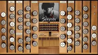 Baraye {برای} (Shervin Hajipour)&mdash;Organ Cover