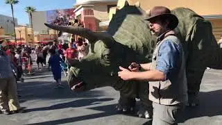 The triceratops at universal studios Hollywood