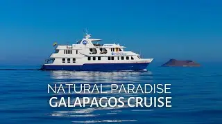 Natural Paradise #Galapagos #Luxury #Cruise - Rebecca Adventure Travel