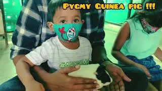 One day trip to Prani - The pet sanctuary ||| Animal petting |||