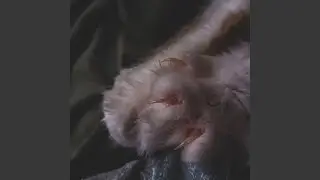 Грустная песня про пойло