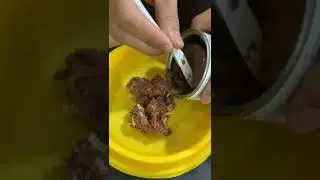 ANIMAL ARK PET SHOP ( SPECIAL CAT WET FOOD 95G )