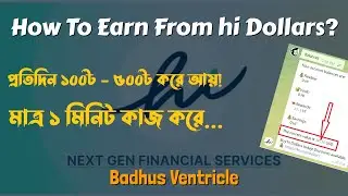 How To Earn From hi Dollars?