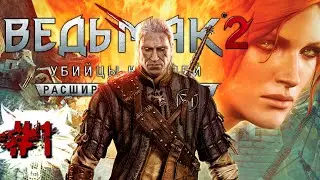 The Witcher 2: Убийцы королей [прохождение #1] - Обучение и арена. Рекомендуемый уровень легкий?