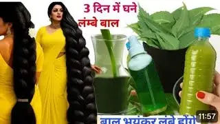 💯होममेड शैंपू घरपर बनाओ और बाल तेजी से बढ़ाओ😱diy shampoo |bal bdhane ka tel |bade bal kaise kren