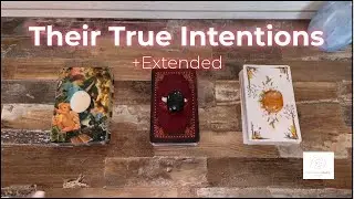 Pick-a-Card: What are their intentions? + Extended on Patreon - The future of this connection