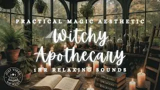 Spellbooks & Candlelight | Practical Magic Witchy Ambience