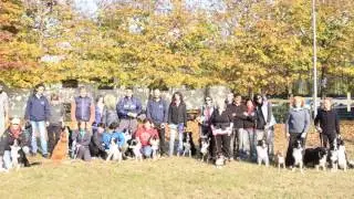 Altre attivit&agrave; (addestramento di base, obedience, discdog, stages, piscina a 6 zampe)