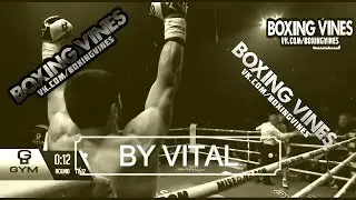 BOXING VINES  by Vital #42